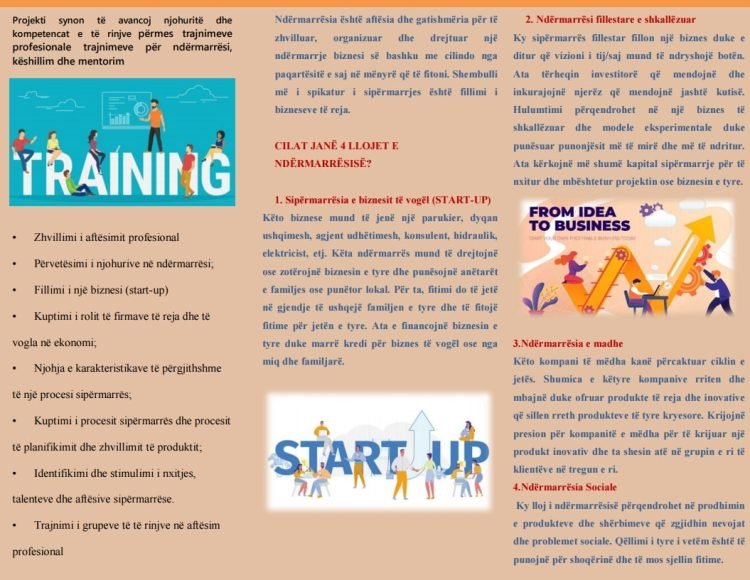 Program trajnimi për ndërrmarrësi dhe aftësim profesional-Mentorim dhe Këshillim