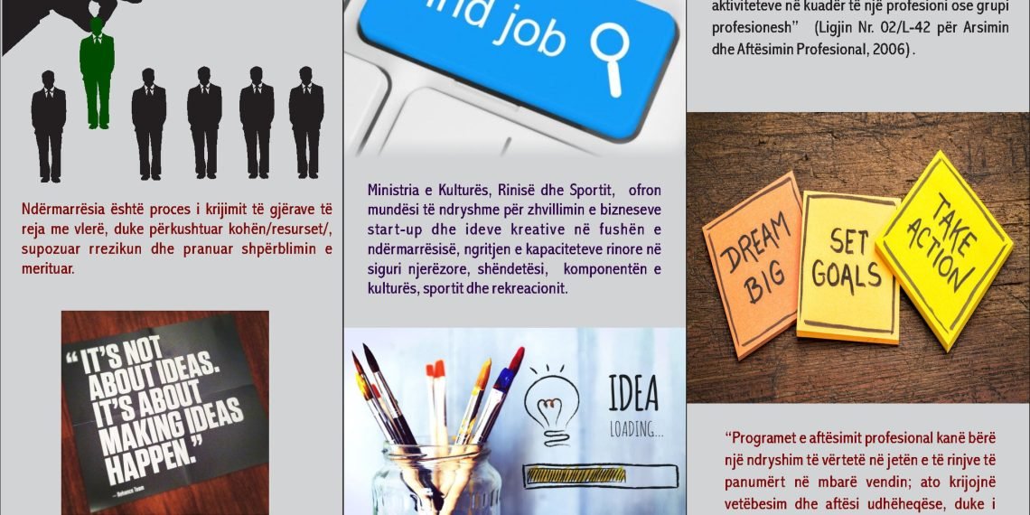 Promovimi i punësimit të të rinjve përmes trajnimeve profesionale, trajnimeve të ndërmarrësisë dhe mentorim