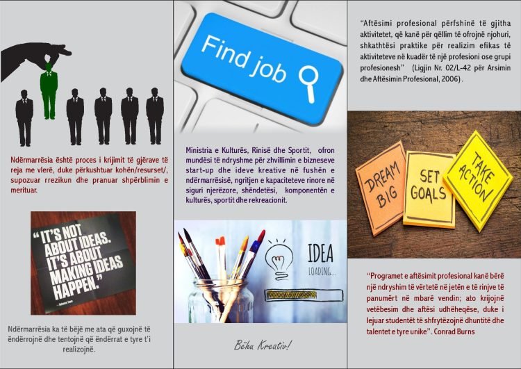 Promovimi i punësimit të të rinjve përmes trajnimeve profesionale, trajnimeve të ndërmarrësisë dhe mentorim